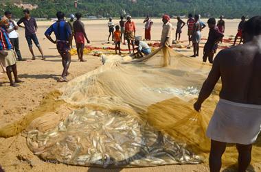 Fishing with net, Chowara Beach,_DSC_9913_H600